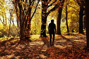 Walking on a Path in a Forest