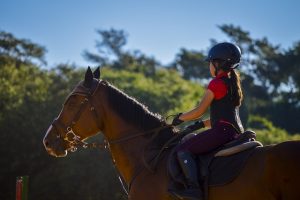 Child as an Equestrian