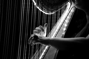 Playing a Harp Alone