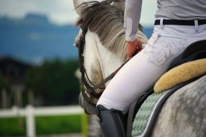 Riding a Horse as an Equestrian