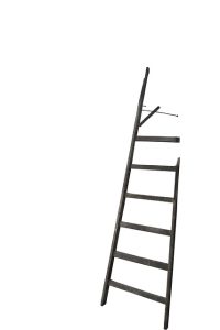 Seeing a Broken Ladder