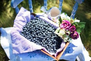 Blueberries in a Basket